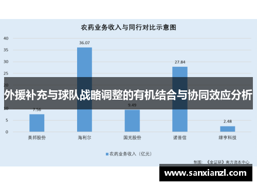 外援补充与球队战略调整的有机结合与协同效应分析 外援补充与球队战略调整的有机结合与协同效应分析